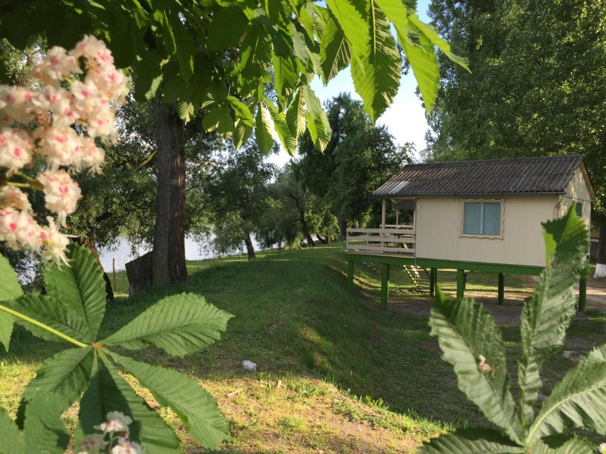 Отель Bungalow Park Сентендре Экстерьер фото