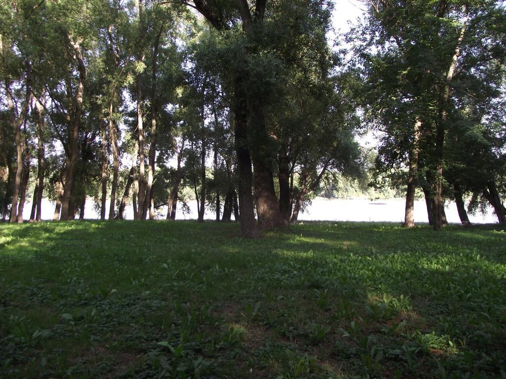 Отель Bungalow Park Сентендре Номер фото